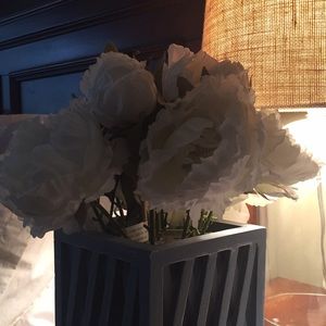 Meet your Posher, Lesley